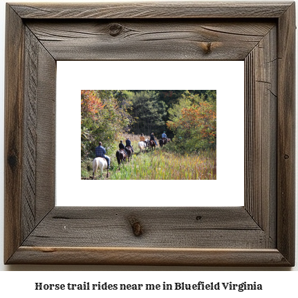 horse trail rides near me in Bluefield, Virginia